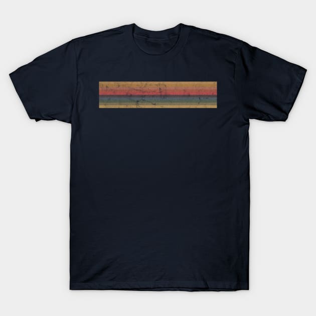 13th Doctor Stripe Rainbow T-Shirt by Pinkazoid